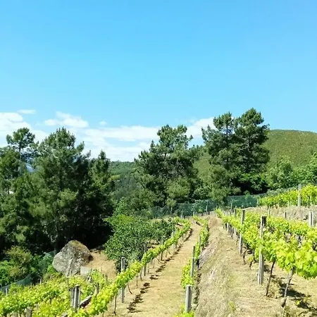 Quinta Do Sol Baiao