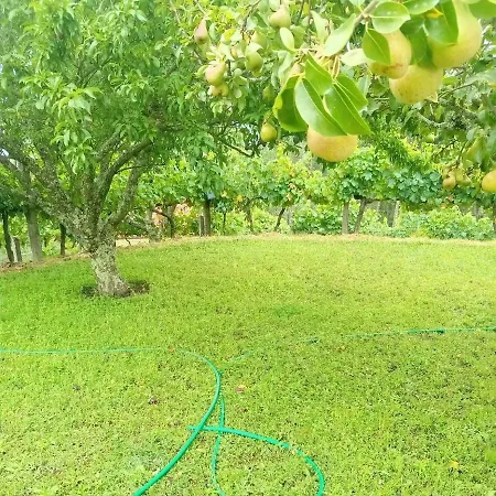 Quinta Do Sol Baiao *