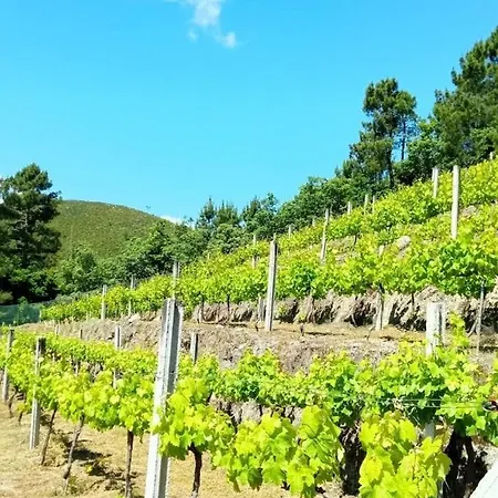 Quinta Do Sol Baiao Tatil Evi