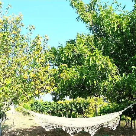 Tatil Evi Quinta Do Sol Baiao *