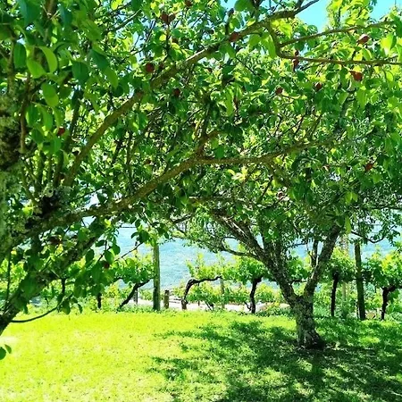 Quinta Do Sol Baiao Baião