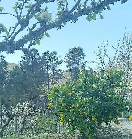 Quinta Do Sol Baiao *